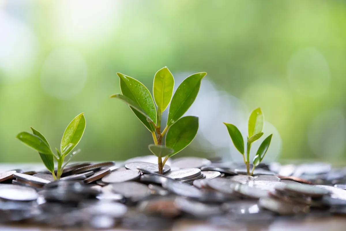 Sustainable Business Practices and Green Financing Options: A Pivotal Partnership